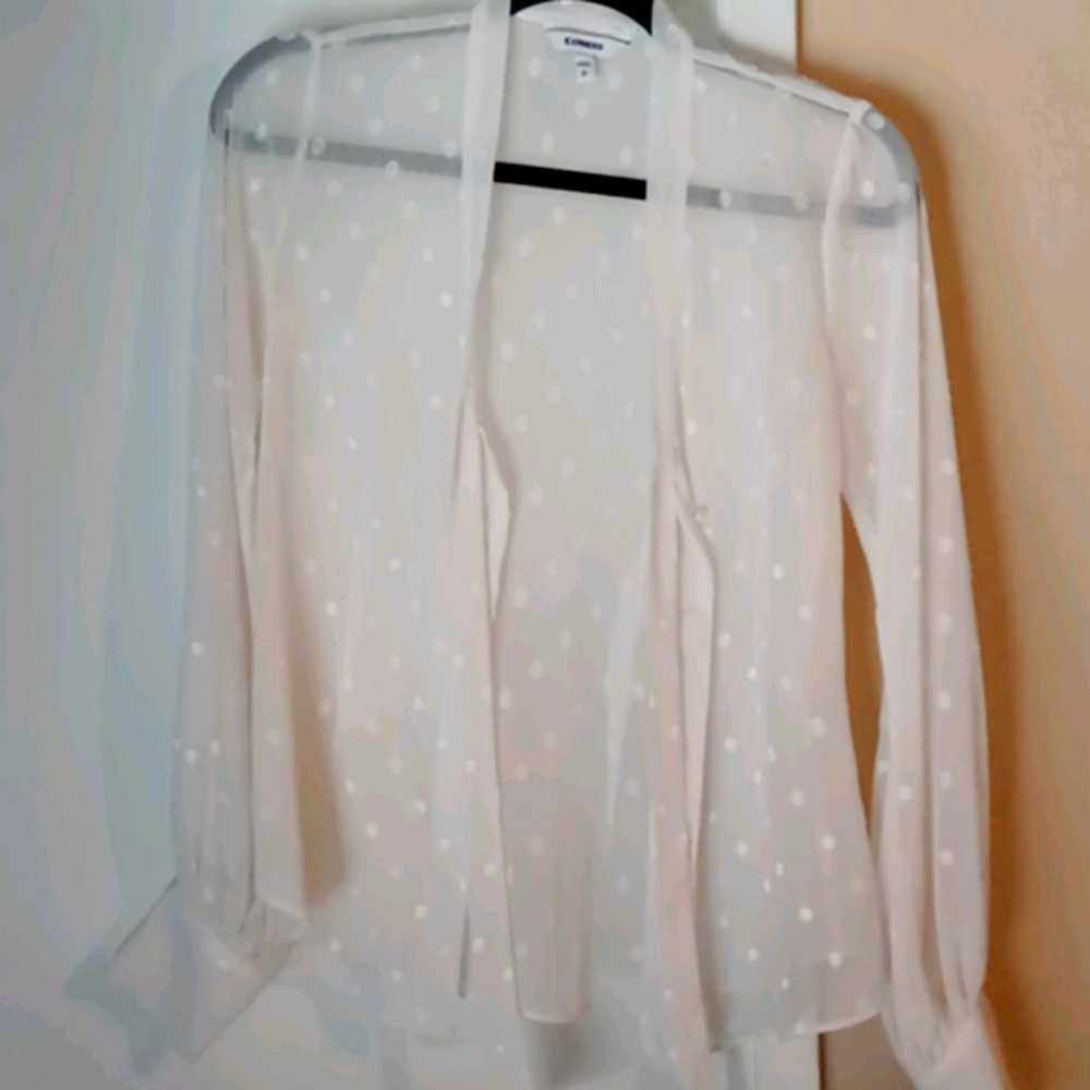 Express sheer blouse size sp